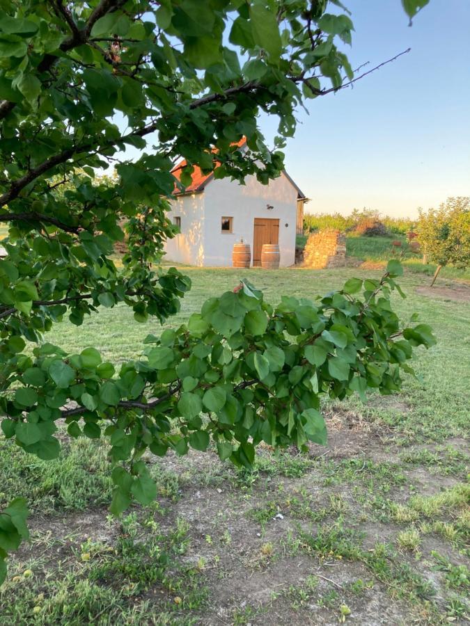 Ubytovani Smudla Znojmo Exterior foto